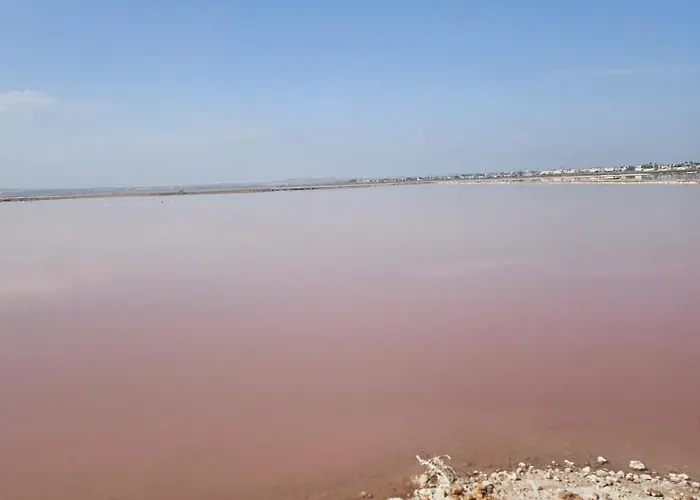 Mar Y Sol Relax Apartment Torrevieja